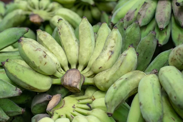 Raw Cultivated Banana Ripe Cultivated Banana Sale Royalty Free Stock Images