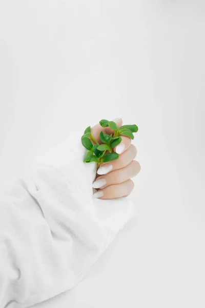 Verde Pequeño Brote Mano Las Mujeres Salvar Planeta —  Fotos de Stock