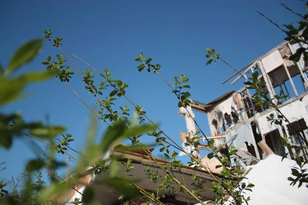 trees on the background of a destroyed house