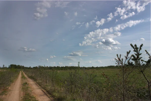 Camino Arenoso Campo — Foto de Stock