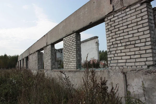Yıkılmış bir domuz çiftliği.