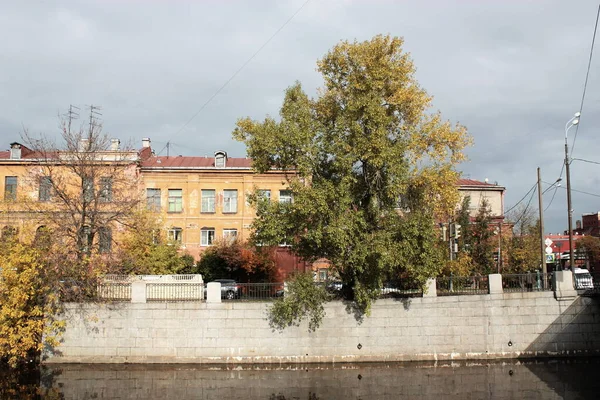 Evleri olan sonbahar kentsel manzarası