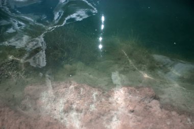 Deniz tabanının yüzeyi suyun içinde.