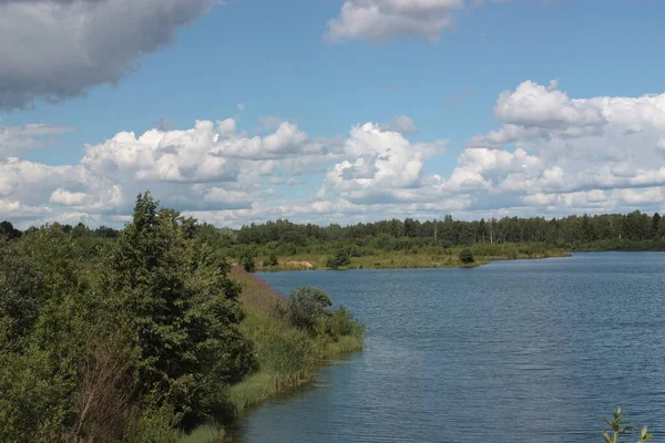 Paesaggio Marino Con Cielo Alberi — Foto Stock