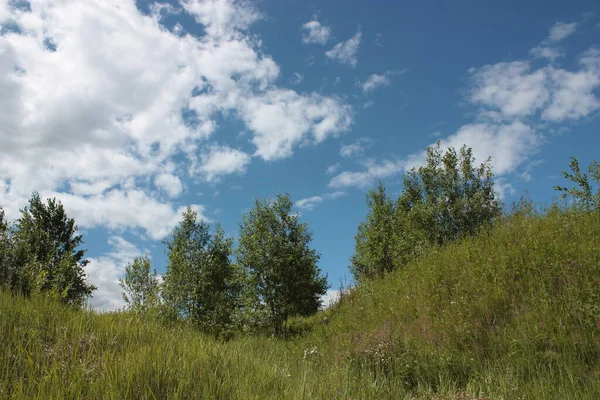 Colinas Árboles Contra Cielo Con Nubes — Foto de Stock