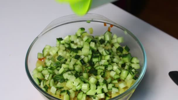 Russian Meat Salad Vegetables Mayonnaise Woman Adds Salt Container Ingredients — Stock Video