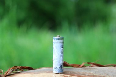 Kullanılmış piller, korozyon ile kaplı. Farklı şekil ve boyutlarda. ahşap kütük kenarında yalan. Çevre koruma, geri dönüşüm.