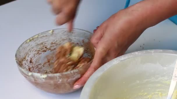 Une Femme Pétrit Pâte Avec Cacao Pour Préparer Gâteau Marbre — Video