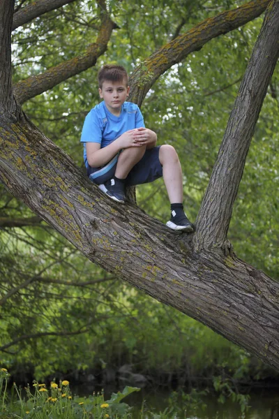 Adolescent Pose Pour Photographe Alors Promène Dans Parc Grimpé Dans — Photo