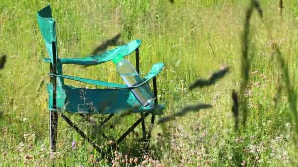 Picnic Chair Stands Light Flooded Meadow Herbs Flowers Sway Summer — Stock Video