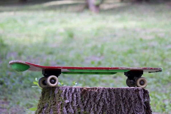 Ένα Skateboard Στέκεται Ένα Ξύλινο Κούτσουρο Μέσα Στο Δάσος — Φωτογραφία Αρχείου