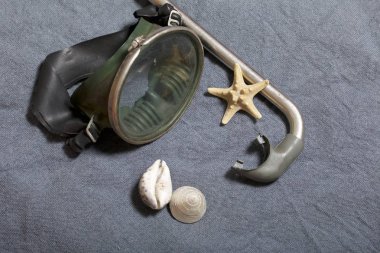 Sahilde tatile. Gri bir arka plan üzerinde bir tüp ve su altında yüzme için maske. Yakınlarda bir deniz yıldızı ise deniz kabuklarını.