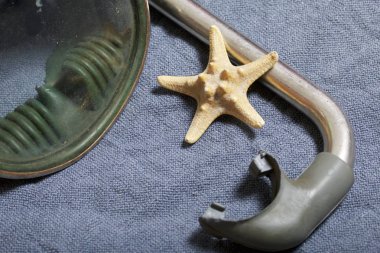 Sahilde tatile. Gri bir arka plan üzerinde bir tüp ve su altında yüzme için maske. Yakın deniz yıldızı olduğunu.