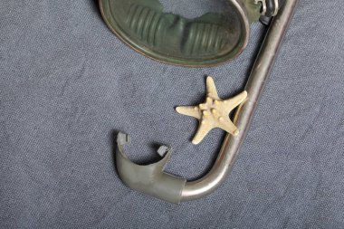 Sahilde tatile. Gri bir arka plan üzerinde bir tüp ve su altında yüzme için maske. Yakın deniz yıldızı olduğunu.