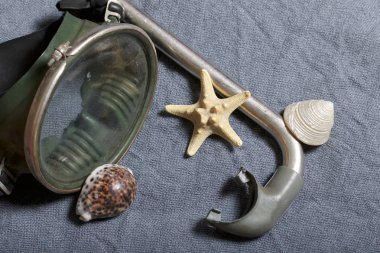 Sahilde tatile. Gri bir arka plan üzerinde bir tüp ve su altında yüzme için maske. Yakınlarda bir deniz yıldızı ise deniz kabuklarını.