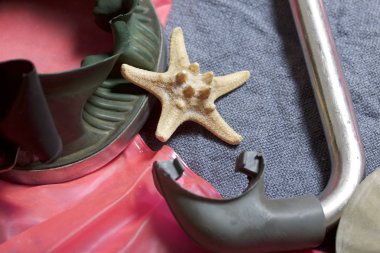 Sahilde tatile. Hava olmadan bir yüzme daire. Gri bir arka plan üzerinde bir tüp ve su altında yüzme için maske. Yakın deniz yıldızı olduğunu.