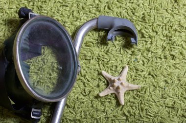 Sahilde tatile. Yeşil bir arka plan üzerinde bir tüp ve su altında yüzme için maske. Yakın deniz yıldızı olduğunu.