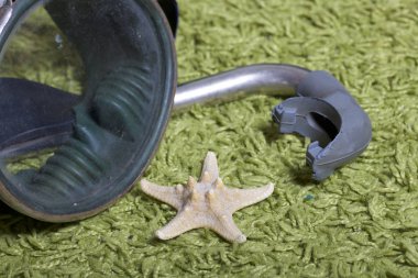 Sahilde tatile. Yeşil bir arka plan üzerinde bir tüp ve su altında yüzme için maske. Yakın deniz yıldızı olduğunu.