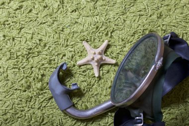 Sahilde tatile. Yeşil bir arka plan üzerinde bir tüp ve su altında yüzme için maske. Yakın deniz yıldızı olduğunu.