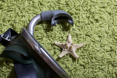 Sahilde tatile. Yeşil bir arka plan üzerinde bir tüp ve su altında yüzme için maske. Yakın deniz yıldızı olduğunu.