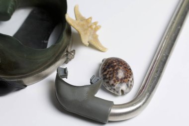 Sahilde tatile. Beyaz zemin üzerinde bir tüp ve su altında yüzme için maske. Yakın deniz yıldızı ve deniz kabuklarını..