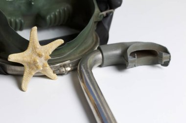 Sahilde tatile. Yeşil bir arka plan üzerinde bir tüp ve su altında yüzme için maske. Yakın deniz yıldızı olduğunu.