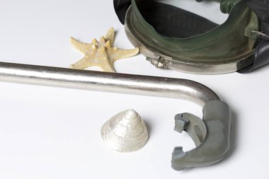 Sahilde tatile. Beyaz zemin üzerinde bir tüp ve su altında yüzme için maske. Yakın deniz yıldızı ve deniz kabuklarını..