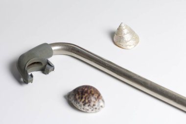 Sahilde tatile. Tüp su altında yüzme için. Yakın deniz kabuklarını olduğunu.