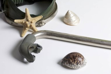 Sahilde tatile. Beyaz zemin üzerinde bir tüp ve su altında yüzme için maske. Yakın deniz yıldızı ve deniz kabuklarını..