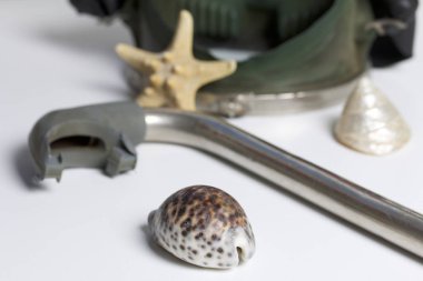 Sahilde tatile. Beyaz zemin üzerinde bir tüp ve su altında yüzme için maske. Yakın deniz yıldızı ve deniz kabuklarını..