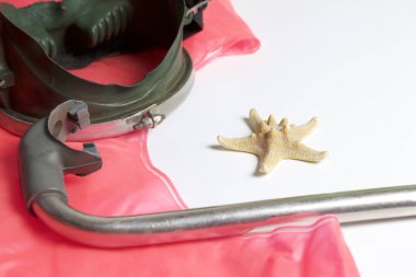 Sahilde tatile. Hava olmadan bir yüzme daire. Beyaz zemin üzerinde bir tüp ve su altında yüzme için maske. Yakın deniz yıldızı olduğunu.