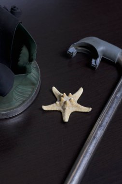 Sahilde tatile. Hava olmadan bir yüzme daire. Karanlık bir arka plan üzerinde bir tüp ve su altında yüzme için maske. Yakın deniz yıldızı olduğunu.