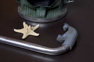 Sahilde tatile. Hava olmadan bir yüzme daire. Karanlık bir arka plan üzerinde bir tüp ve su altında yüzme için maske. Yakın deniz yıldızı olduğunu.