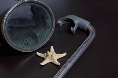 Sahilde tatile. Hava olmadan bir yüzme daire. Karanlık bir arka plan üzerinde bir tüp ve su altında yüzme için maske. Yakın deniz yıldızı olduğunu.