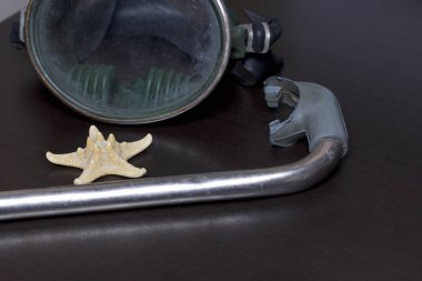 Sahilde tatile. Hava olmadan bir yüzme daire. Karanlık bir arka plan üzerinde bir tüp ve su altında yüzme için maske. Yakın deniz yıldızı olduğunu.