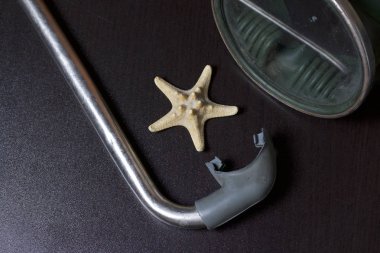 Sahilde tatile. Hava olmadan bir yüzme daire. Karanlık bir arka plan üzerinde bir tüp ve su altında yüzme için maske. Yakın deniz yıldızı olduğunu.