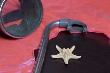 Sahilde tatile. Hava olmadan bir yüzme daire. Hava olmadan bir yüzme daire. Karanlık bir arka plan üzerinde bir tüp ve su altında yüzme için maske. Yakın deniz yıldızı olduğunu.