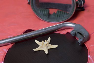 Sahilde tatile. Hava olmadan bir yüzme daire. Hava olmadan bir yüzme daire. Karanlık bir arka plan üzerinde bir tüp ve su altında yüzme için maske. Yakın deniz yıldızı olduğunu.