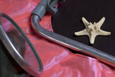 Sahilde tatile. Hava olmadan bir yüzme daire. Hava olmadan bir yüzme daire. Karanlık bir arka plan üzerinde bir tüp ve su altında yüzme için maske. Yakın deniz yıldızı olduğunu.