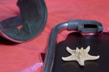 Sahilde tatile. Hava olmadan bir yüzme daire. Hava olmadan bir yüzme daire. Karanlık bir arka plan üzerinde bir tüp ve su altında yüzme için maske. Yakın deniz yıldızı olduğunu.