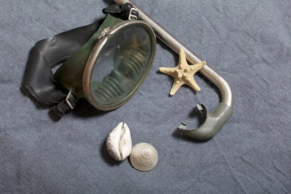Sahilde tatile. Gri bir arka plan üzerinde bir tüp ve su altında yüzme için maske. Yakınlarda bir deniz yıldızı ise deniz kabuklarını.
