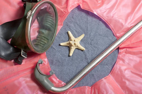 Sahilde tatile. Hava olmadan bir yüzme daire. Gri bir arka plan üzerinde bir tüp ve su altında yüzme için maske. Yakın deniz yıldızı olduğunu.