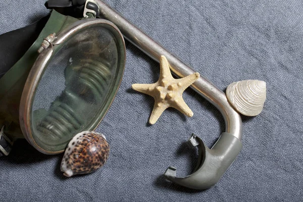 Sahilde tatile. Gri bir arka plan üzerinde bir tüp ve su altında yüzme için maske. Yakınlarda bir deniz yıldızı ise deniz kabuklarını.