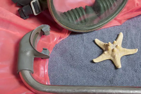 Sahilde tatile. Hava olmadan bir yüzme daire. Gri bir arka plan üzerinde bir tüp ve su altında yüzme için maske. Yakın deniz yıldızı olduğunu.