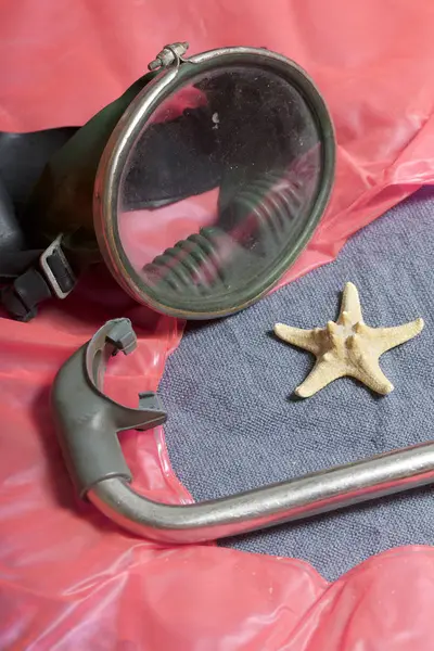 Sahilde tatile. Hava olmadan bir yüzme daire. Gri bir arka plan üzerinde bir tüp ve su altında yüzme için maske. Yakın deniz yıldızı olduğunu.