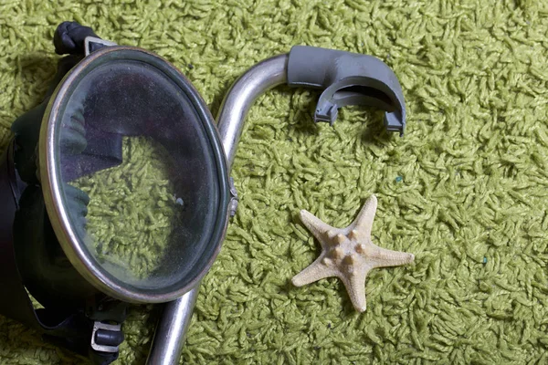 Sahilde tatile. Yeşil bir arka plan üzerinde bir tüp ve su altında yüzme için maske. Yakın deniz yıldızı olduğunu.