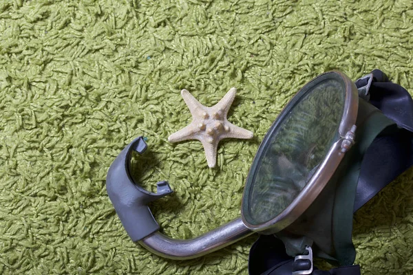 Sahilde tatile. Yeşil bir arka plan üzerinde bir tüp ve su altında yüzme için maske. Yakın deniz yıldızı olduğunu.