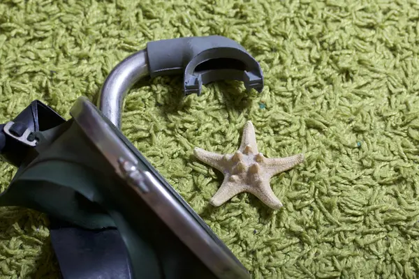 Sahilde tatile. Yeşil bir arka plan üzerinde bir tüp ve su altında yüzme için maske. Yakın deniz yıldızı olduğunu.