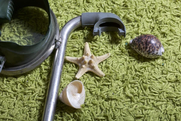 Sahilde tatile. Gri bir arka plan üzerinde bir tüp ve su altında yüzme için maske. Yakınlarda bir deniz yıldızı ise deniz kabuklarını.