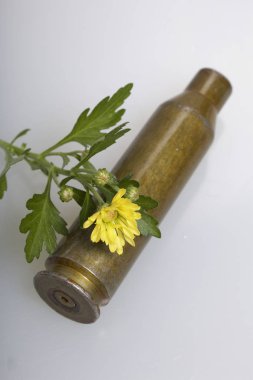 Çekim kol yüksek kalibreli makineli tüfek ve sarı kasımpatı çiçeği. Barış kurulması.